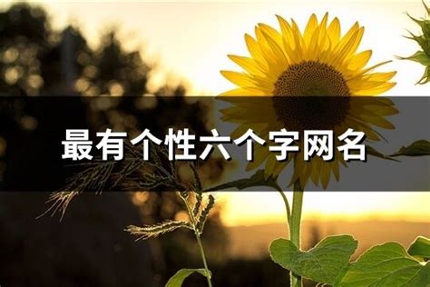 名字有6個字|六个字的网名